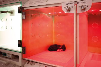 009-03-CASCO-Pet-DRC-Beleuchtungssystem