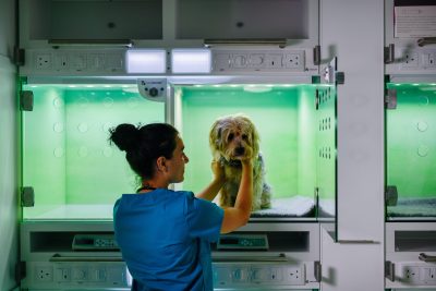 023-01-CASCO-Pet-WELLKennels