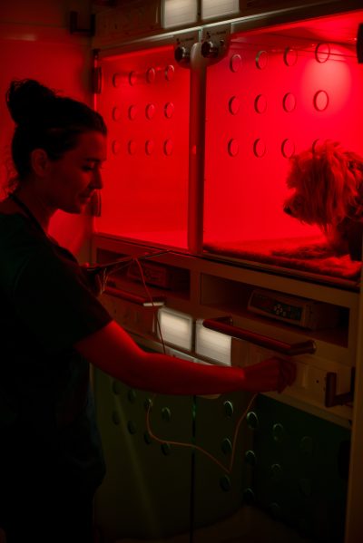 023-03-CASCO-Pet-WELLKennels