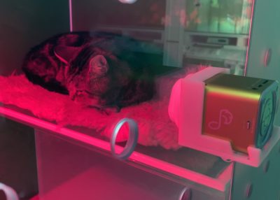 036-01-CASCO-Pet-WELLKennels-Pet-Tunes-speaker