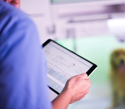 092-01-CASCO-Pet-surveys